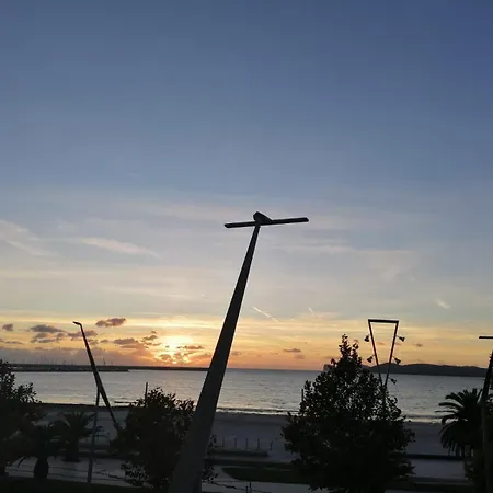 Seahorse * ألغيرو